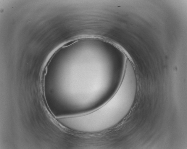 X0000080721148200612150832