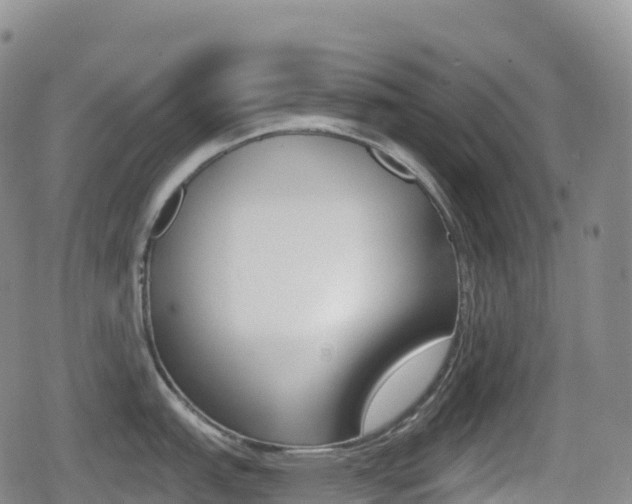 X0000080721151200612150832