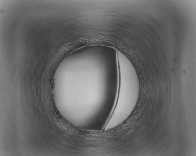 X0000080721153200612150831