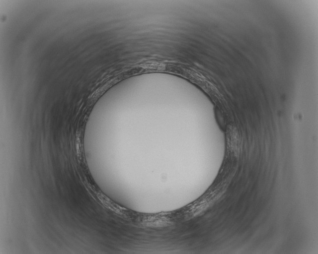 X0000080721154200612150831