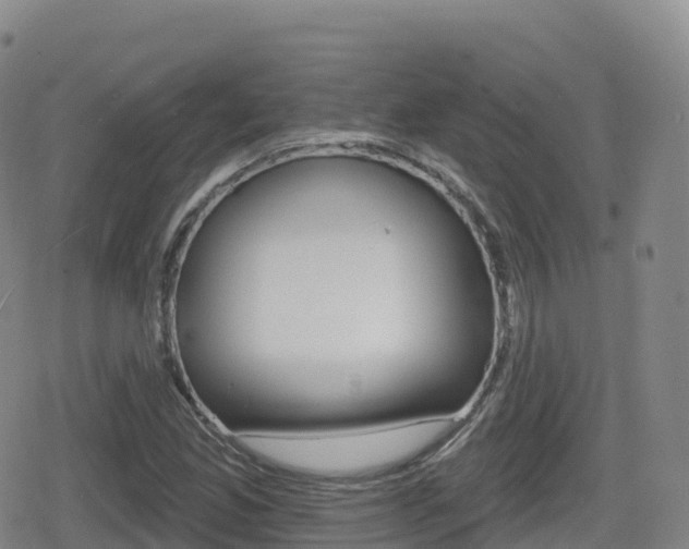 X0000080721165200612150831