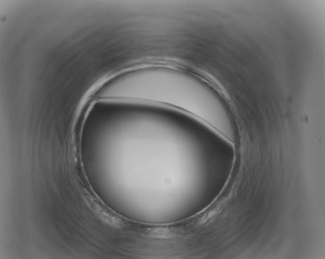 X0000080721172200612150831