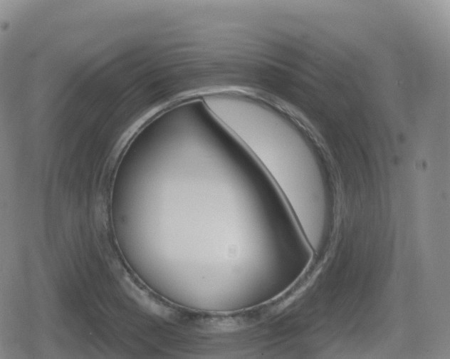 X0000080721177200612150831