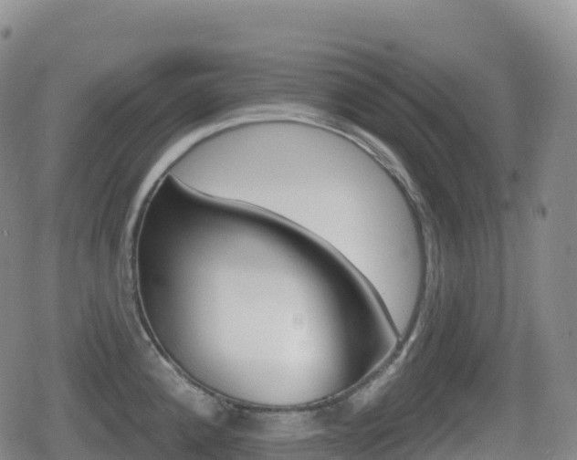 X0000080721192200612150830