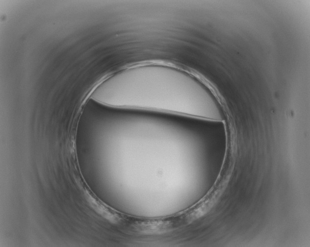 X0000080721193200612150830