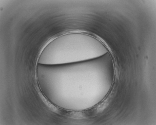 X0000080721194200612150830