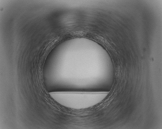 X0000080721201200612150829