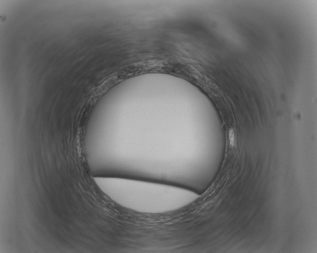 X0000080721203200612150829