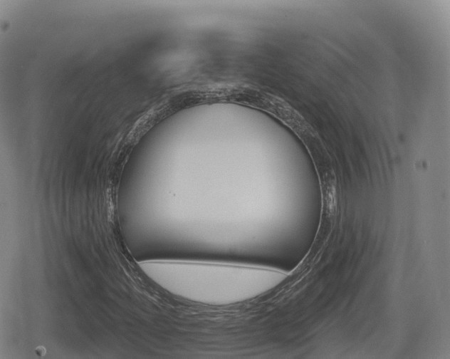 X0000080721204200612150829