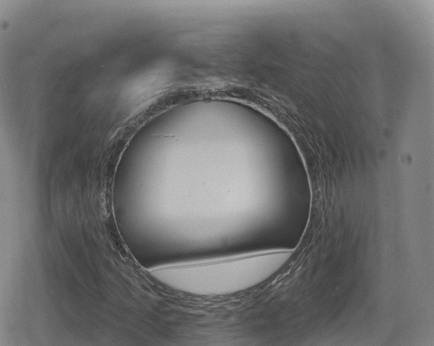 X0000080721205200612150829