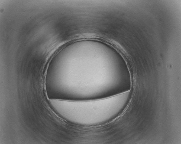 X0000080721212200612150830