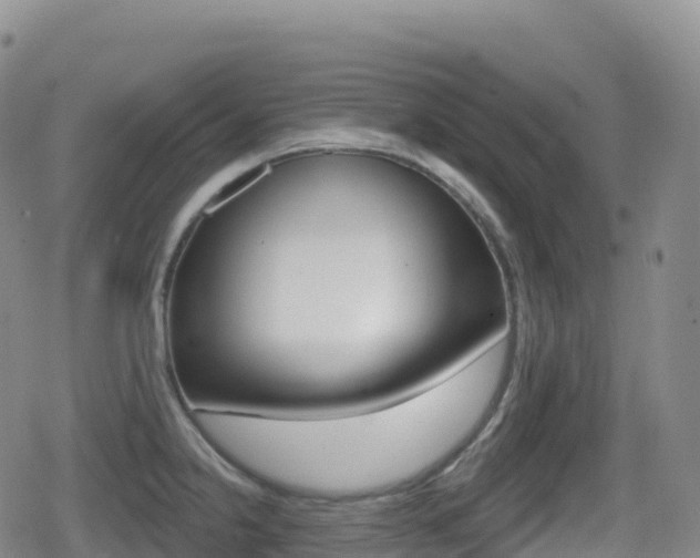 X0000080721238200612150830