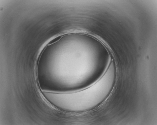X0000080721246200612150830