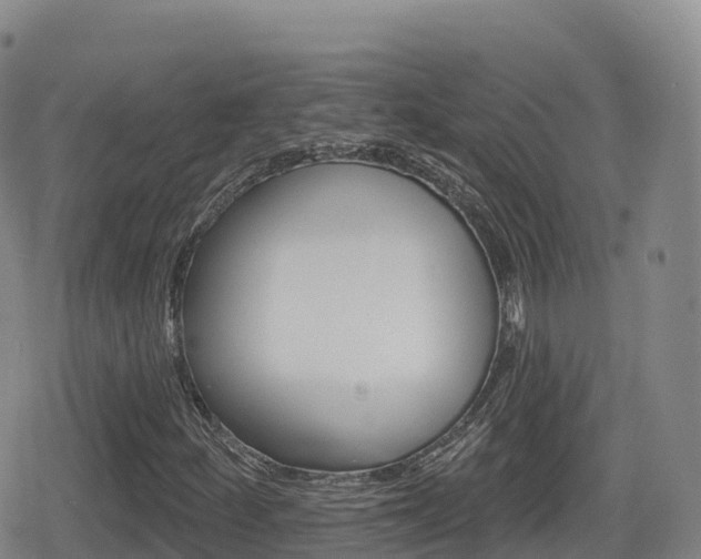 X0000080721252200612150829