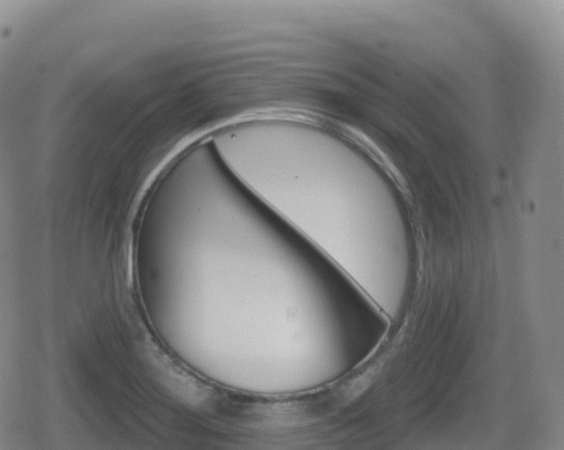 X0000080721276200612150829