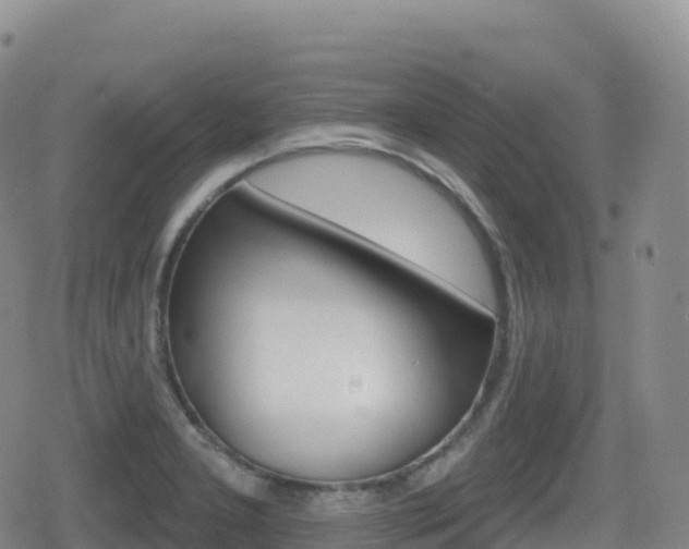 X0000080721277200612150829