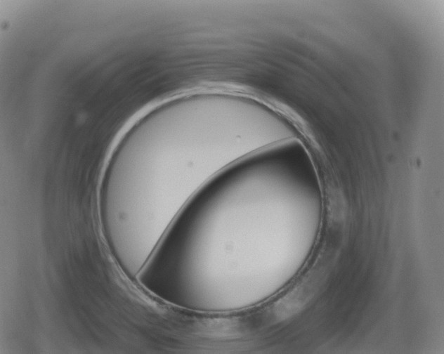 X0000080721280200612150829