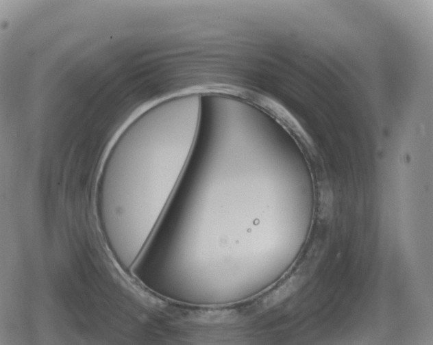 X0000080721284200612150829