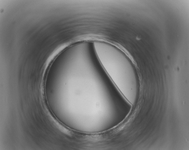 X0000080721285200612150829
