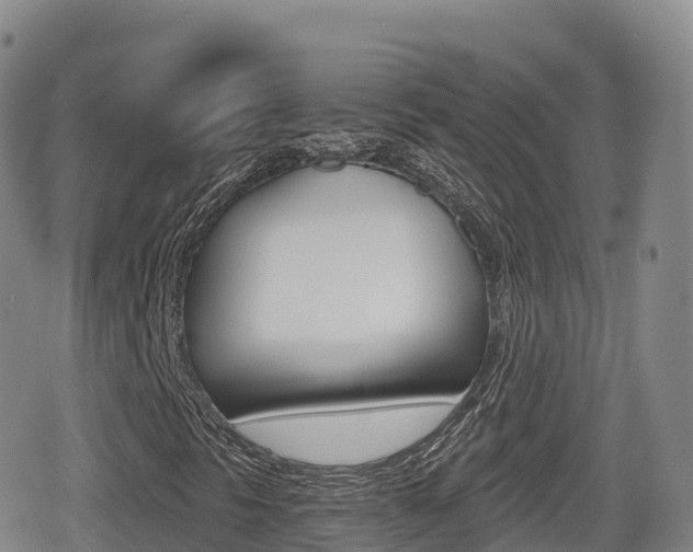 X0000080721297200612150828