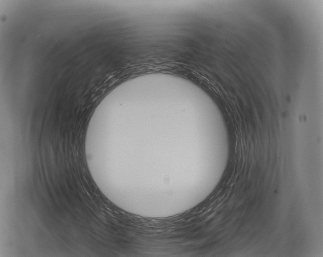 X0000080721298200612150828