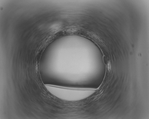 X0000080721299200612150828