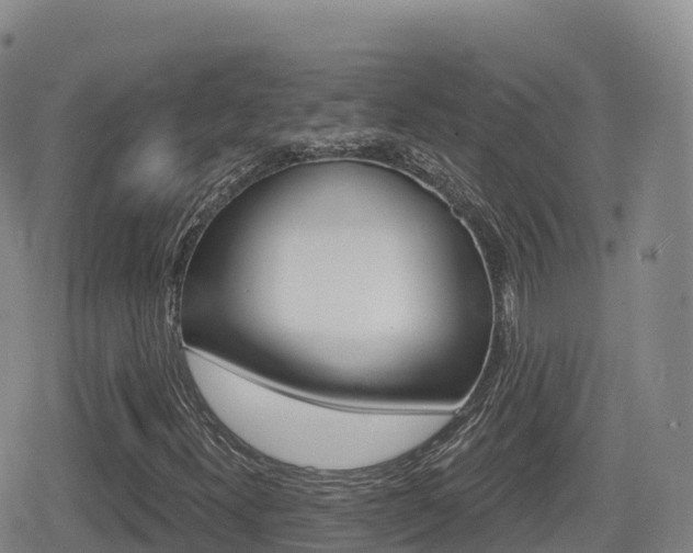 X0000080721300200612150828