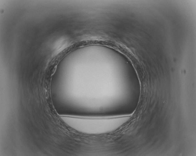 X0000080721303200612150828