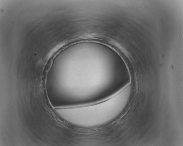 X0000080721308200612150828