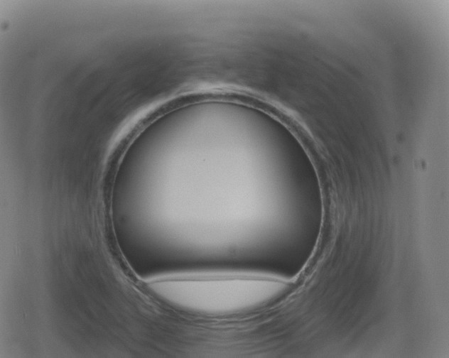 X0000080721319200612150828