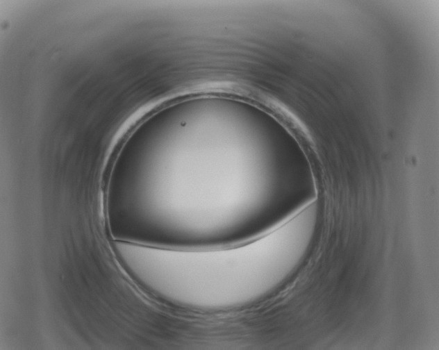 X0000080721324200612150828