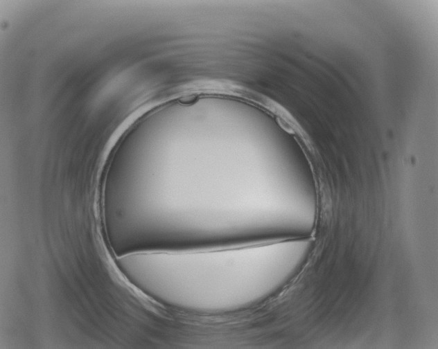 X0000080721339200612150829