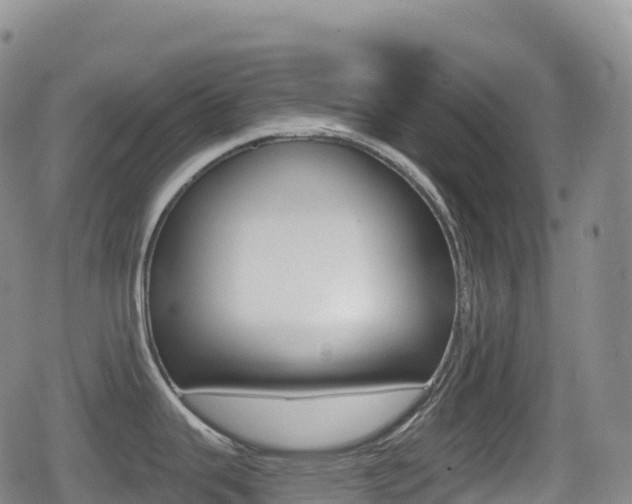 X0000080721343200612150829