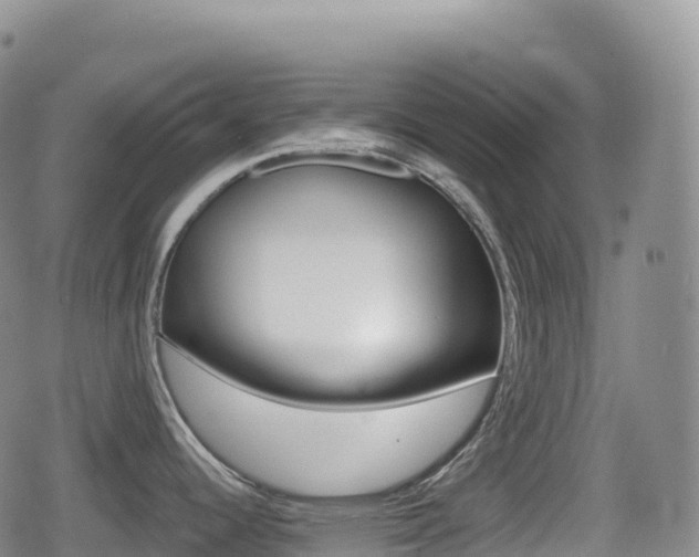 X0000080721344200612150829