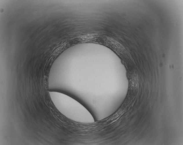 X0000080721346200612150828