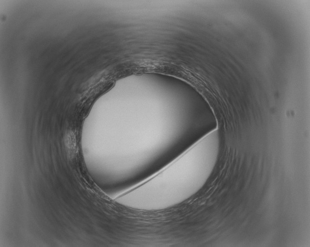 X0000080721347200612150828