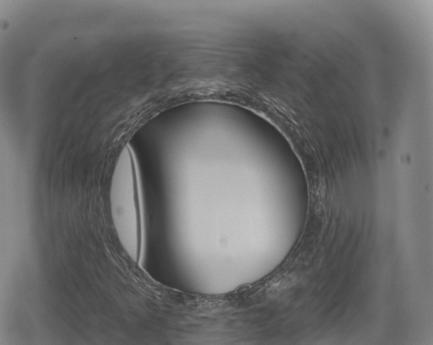 X0000080721349200612150828