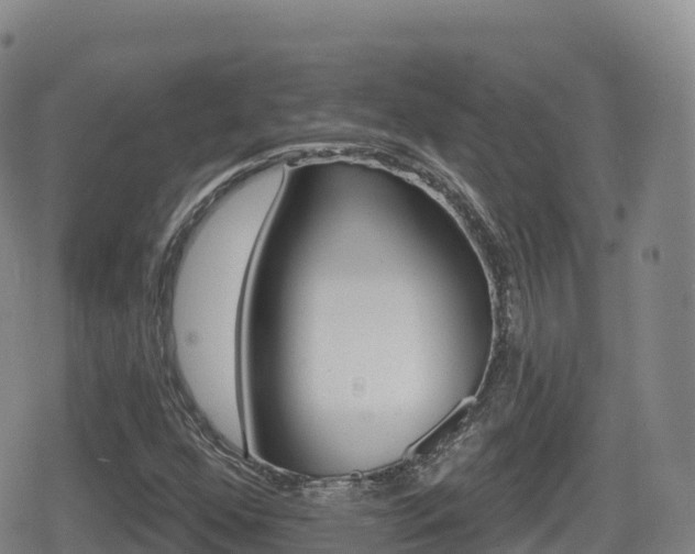 X0000080721352200612150828