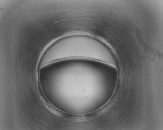 X0000080721372200612150827