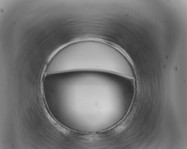 X0000080721388200612150827