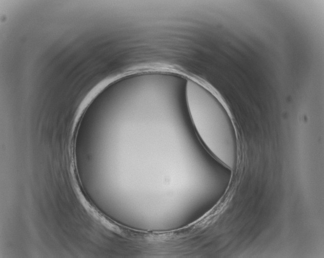 X0000080721389200612150827