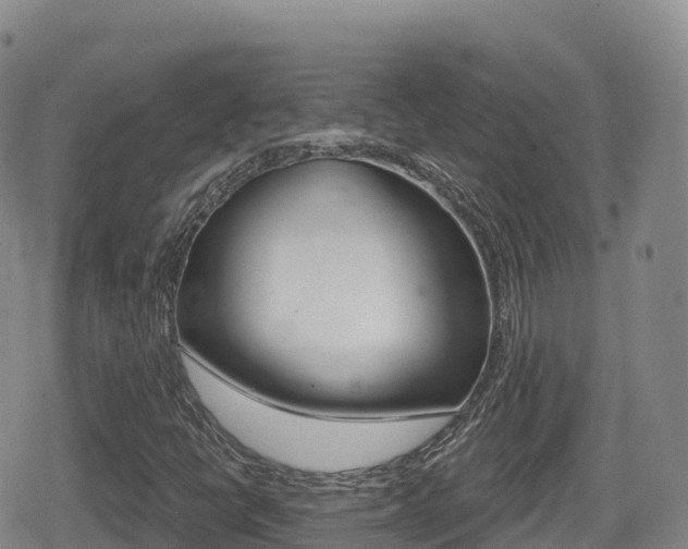 X0000080721398200612150826