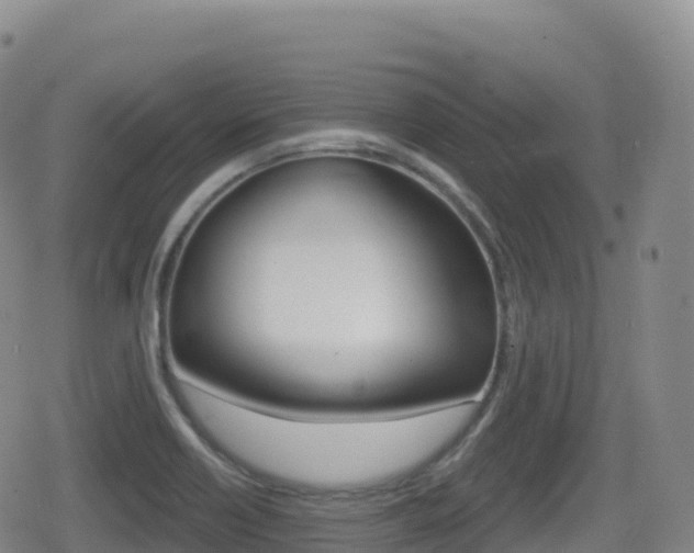 X0000080721418200612150827