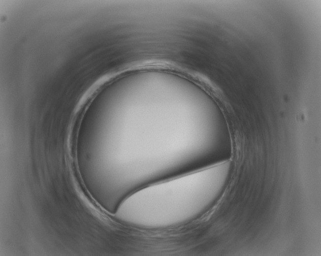 X0000080721422200612150827