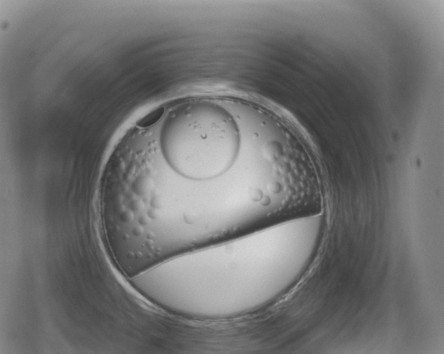 X0000080721432200612150827