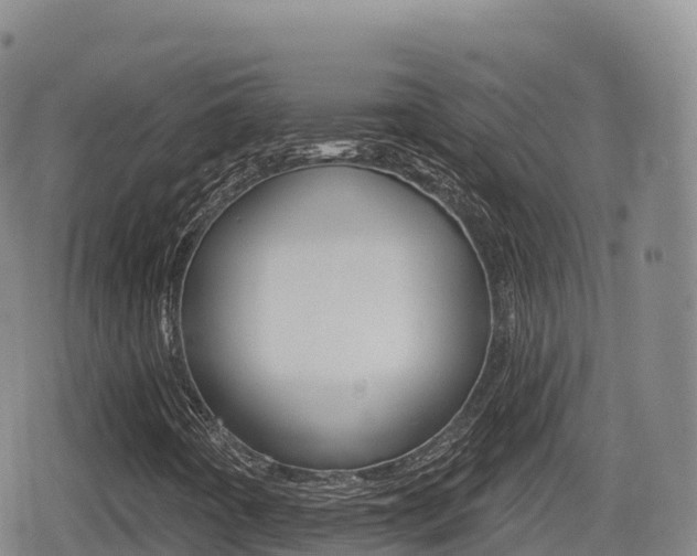 X0000080721442200612150826