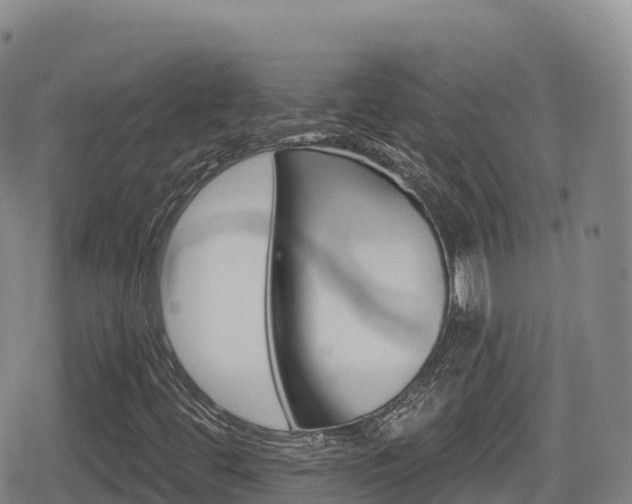 X0000080721444200612150826