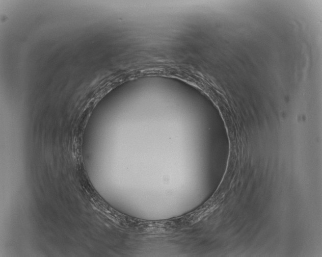 X0000080721445200612150826