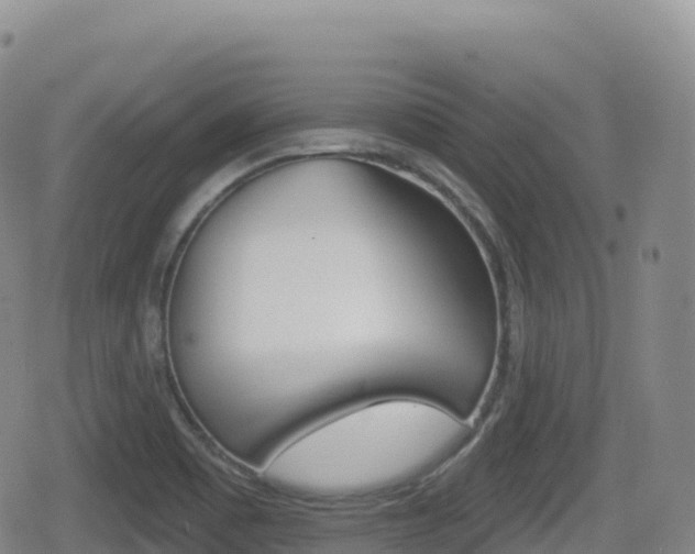 X0000080721465200612150826