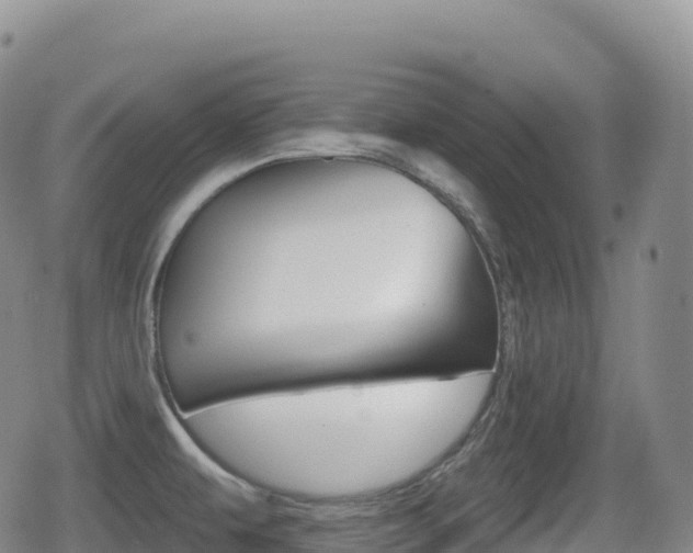 X0000080721479200612150826
